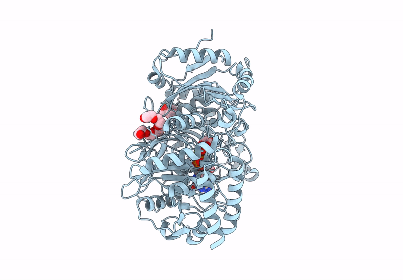 9E38 image