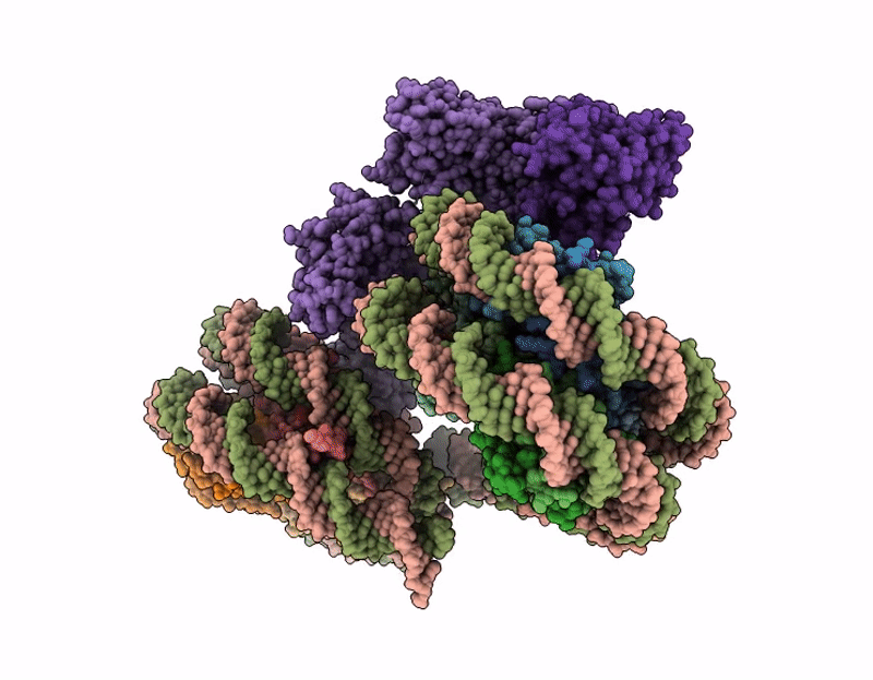 9E3D image