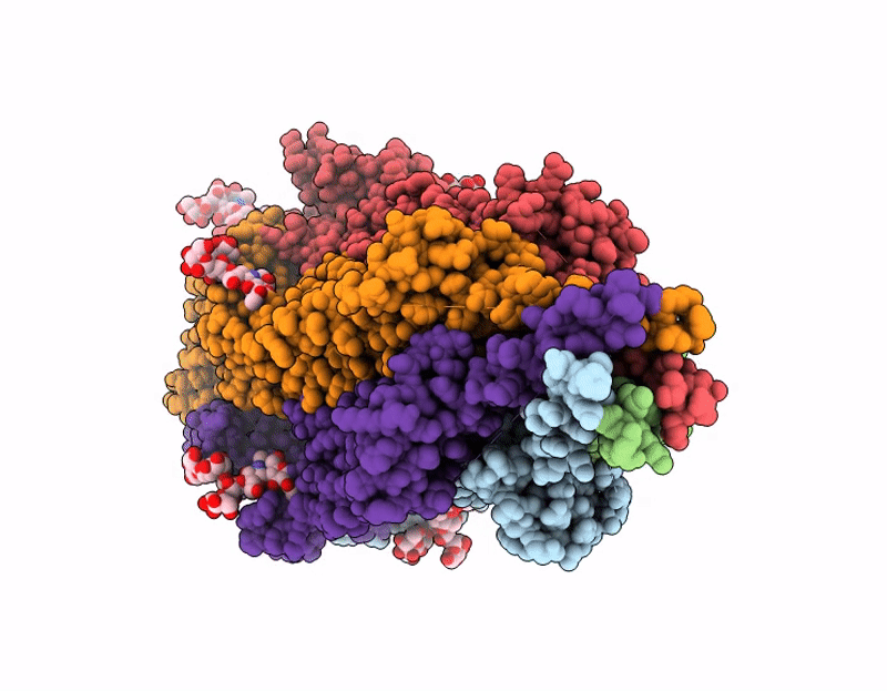 9E3E image
