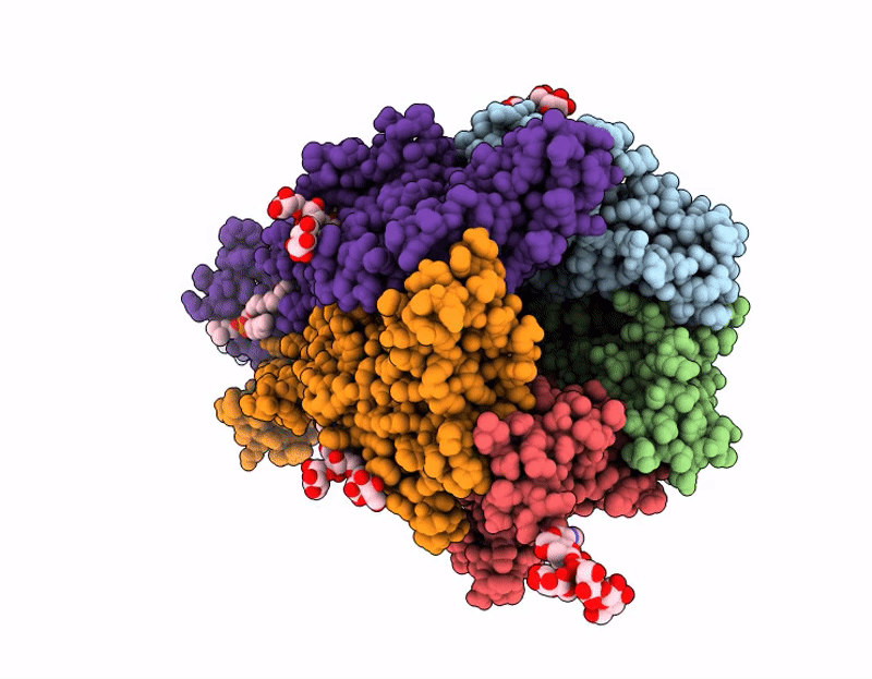 9E3G image