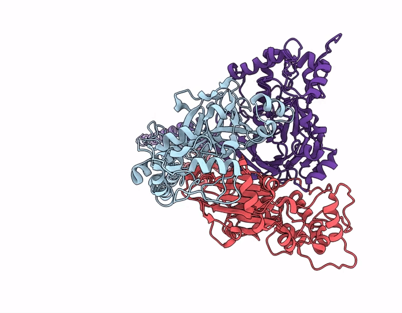 9E4C image