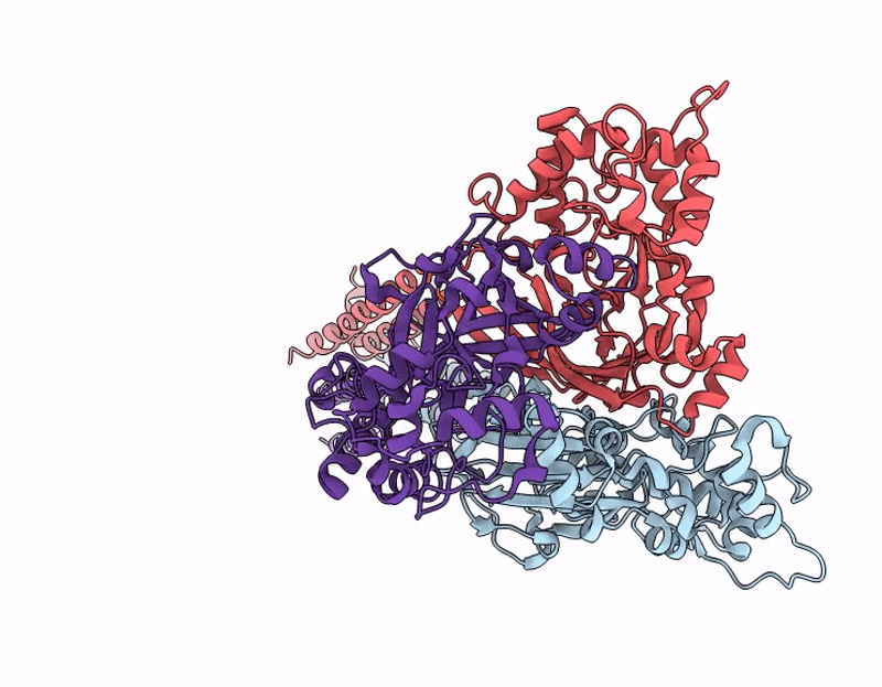 9E4E image