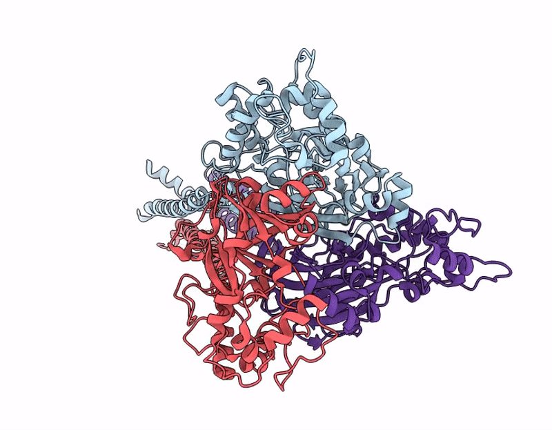 9E4G image