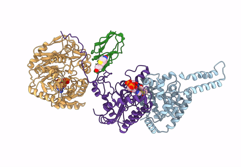 9E4N image