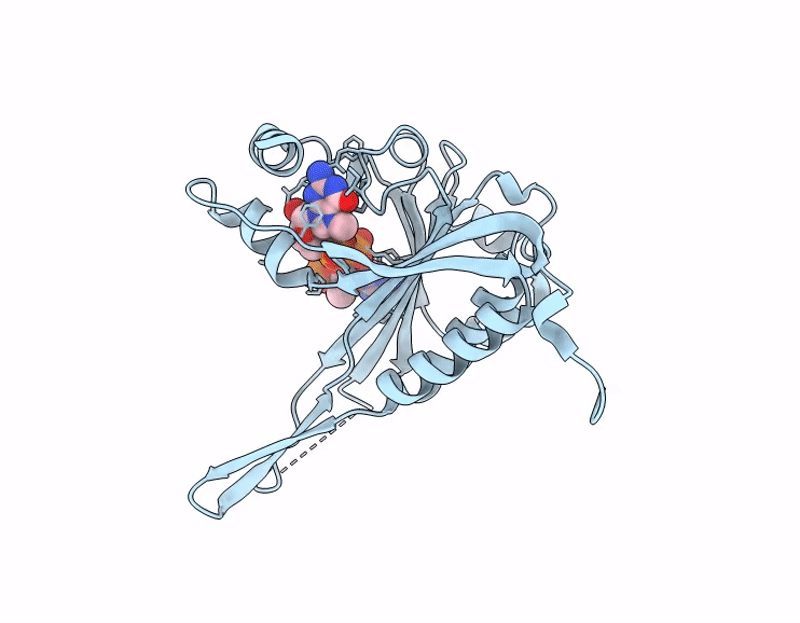 9E5B image