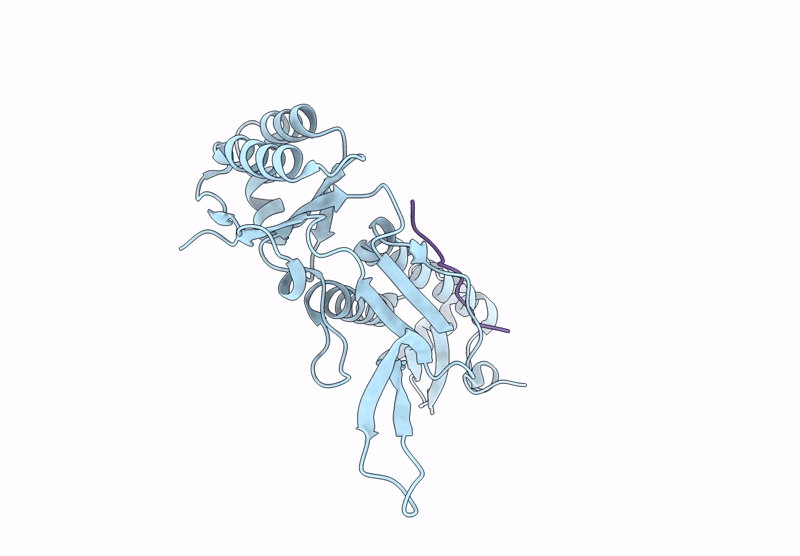 9E5E image