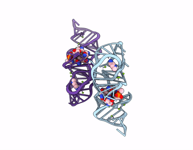 9E5H image