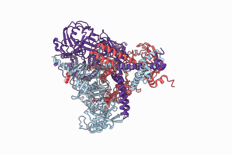 9E5X image