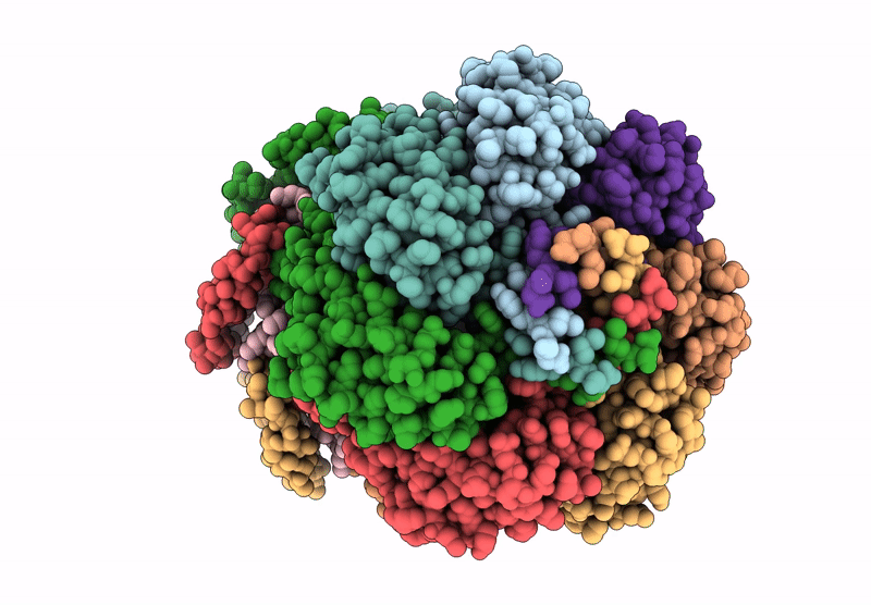 9E66 image