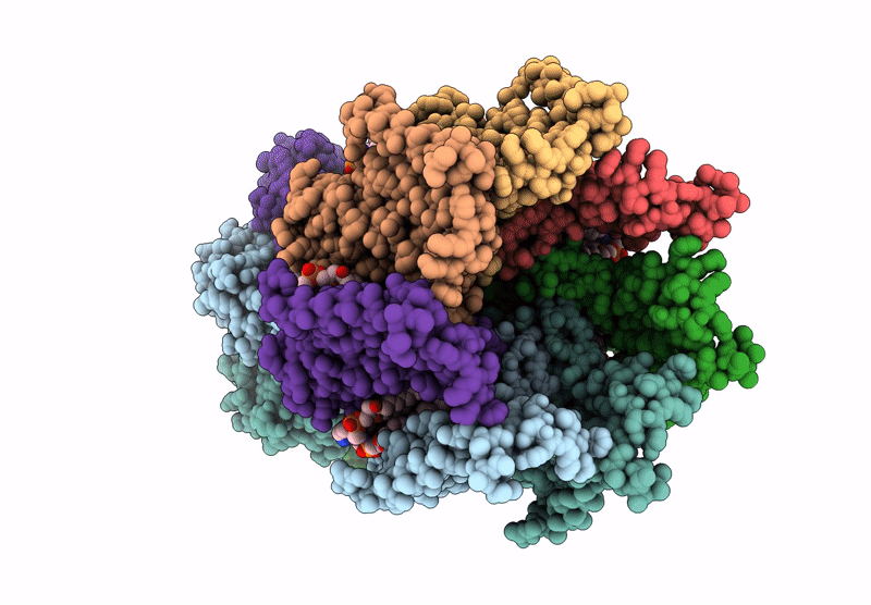 9E67 image