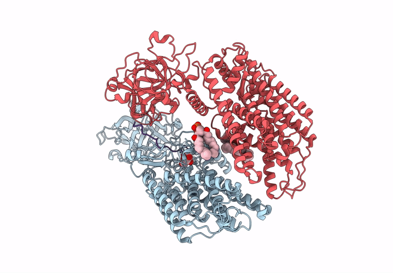 9E6V image