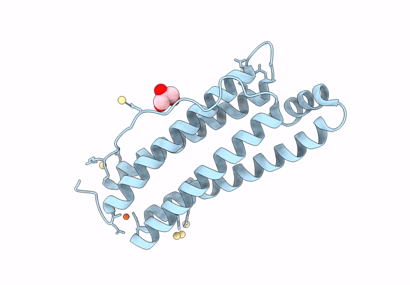 9E6X image