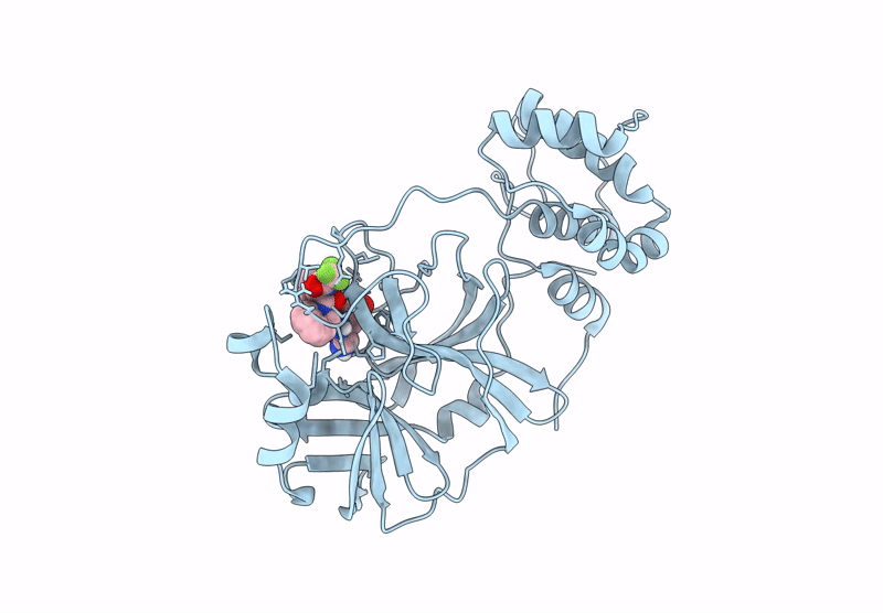 9E7S image