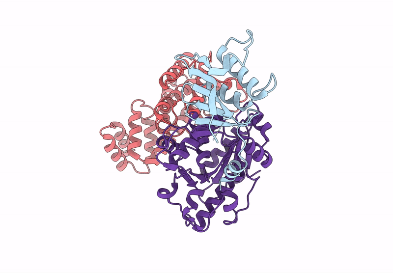 9E7T image