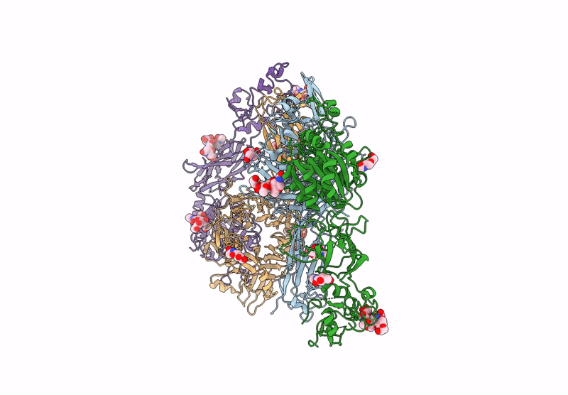 9E8C image