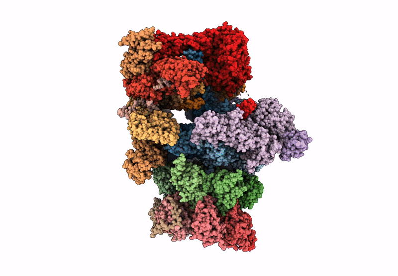 9E8G image