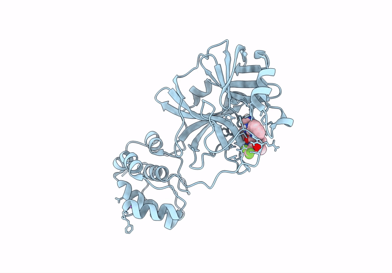 9E8R image