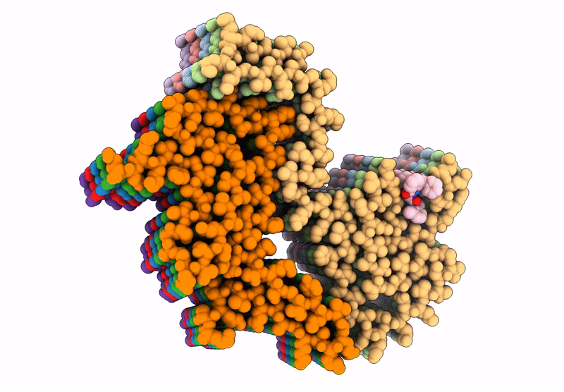 9E8V image