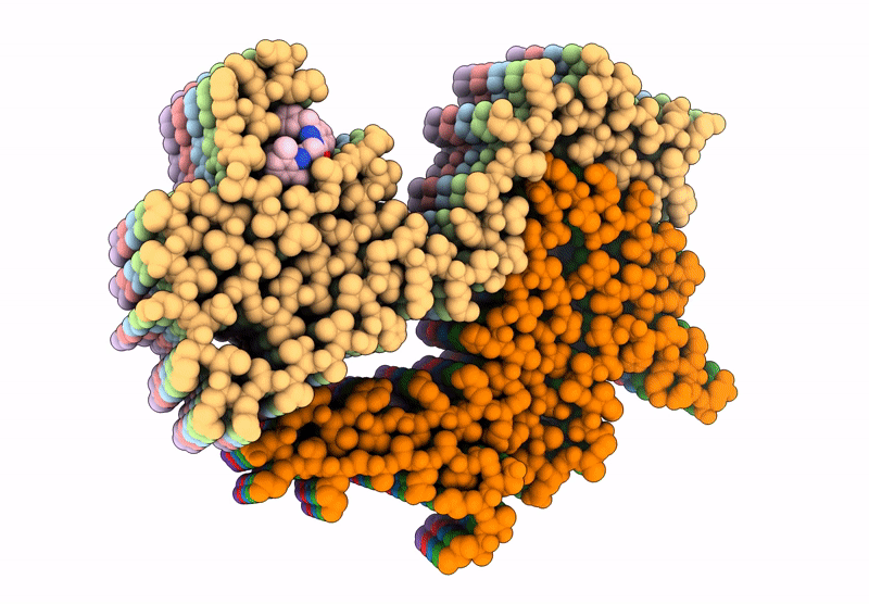 9E8X image