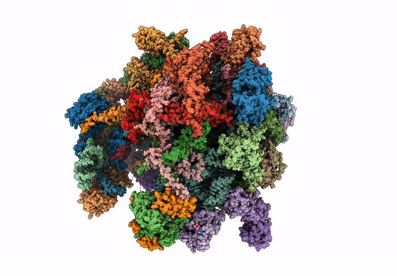 9E9C image