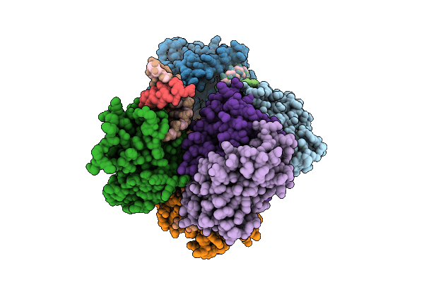 9E9V image