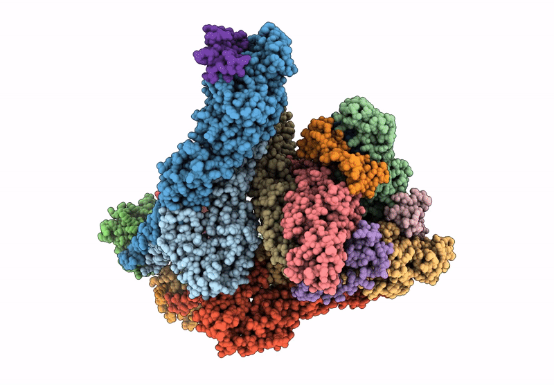 9E9Z image