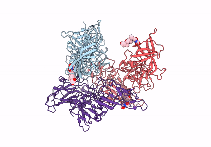 9EAP image