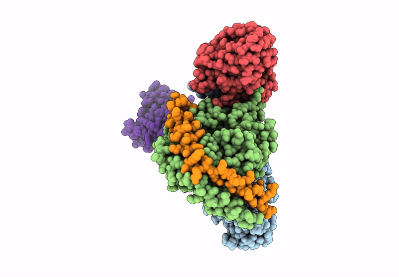 9EBH image