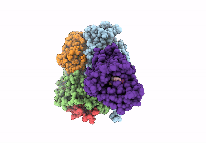 9EBI image