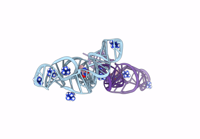 9EBP image