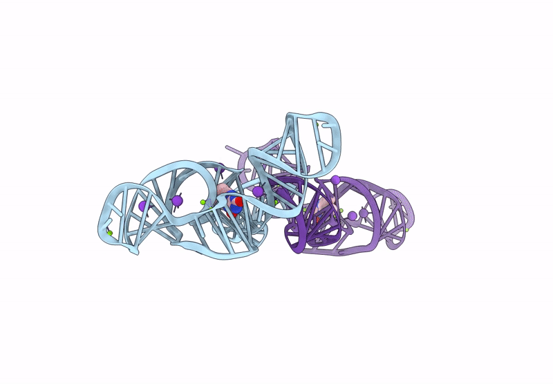 9EBV image
