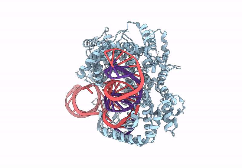 9EC8 image