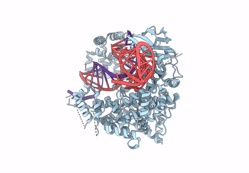 9ECD image