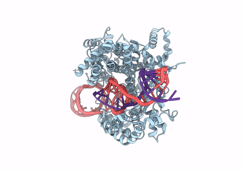 9ECE image