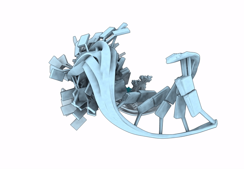 9ECR image