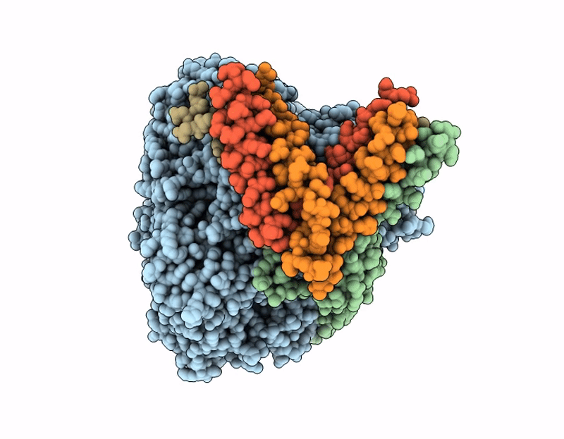 9ECV image