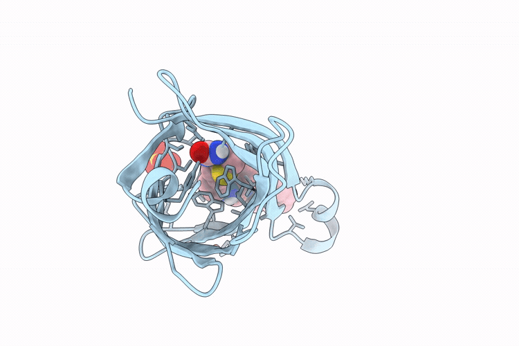 9EDF image