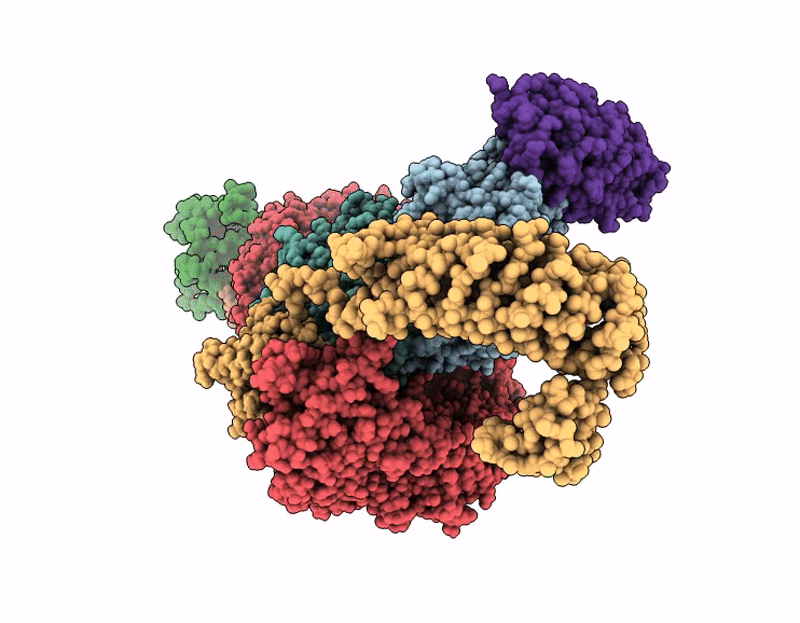 9EDS image