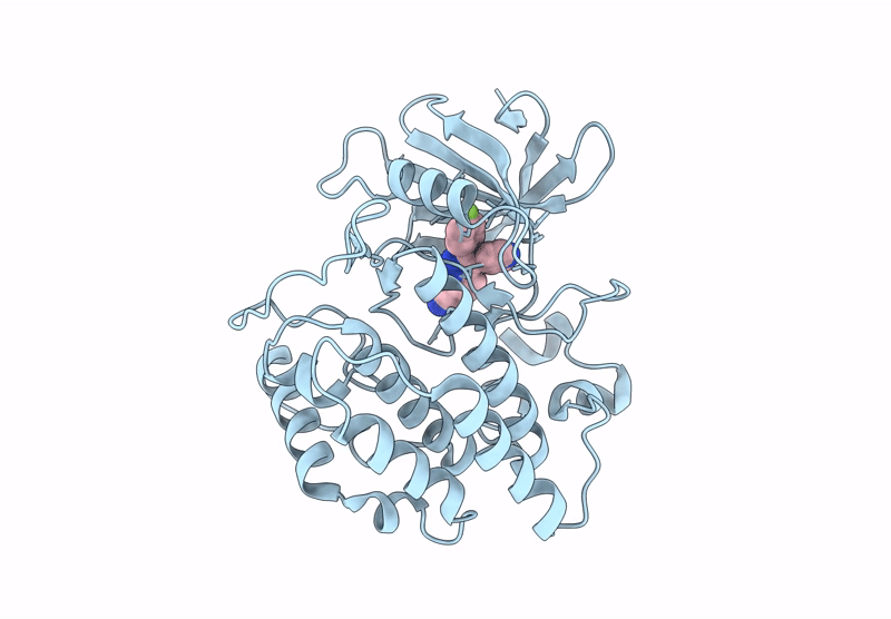 9EDX image