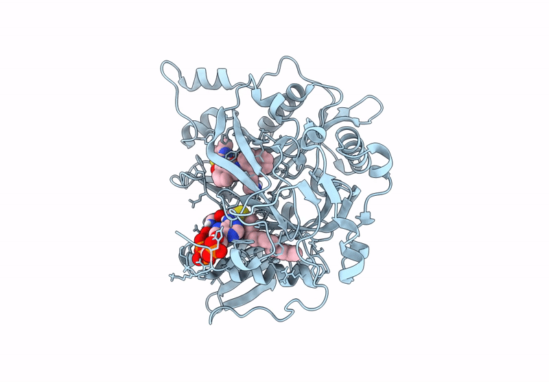 9EF8 image
