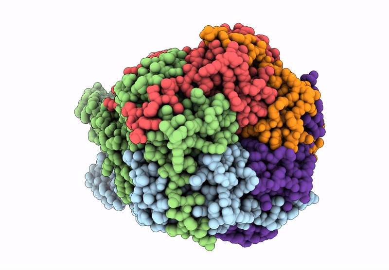 9EGM image