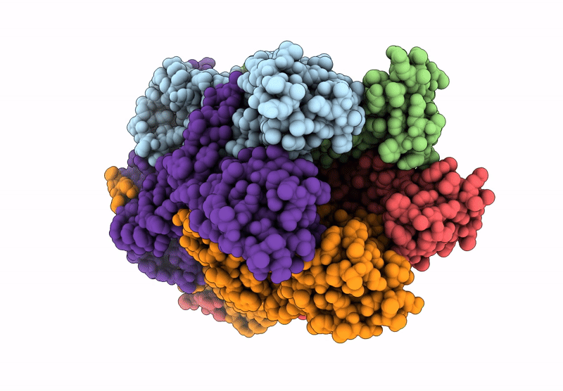 9EGT image