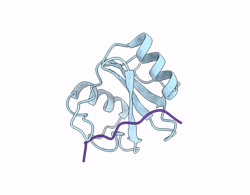 9EHD image