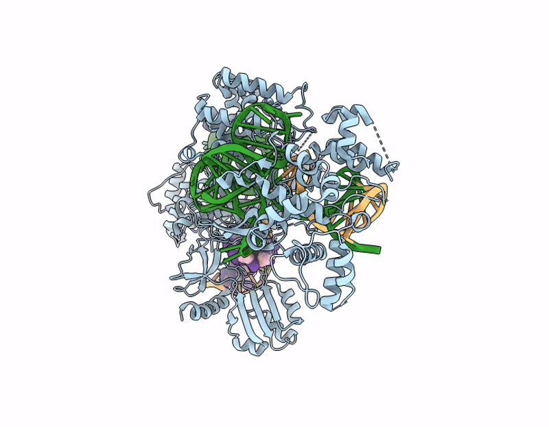 9EHR image