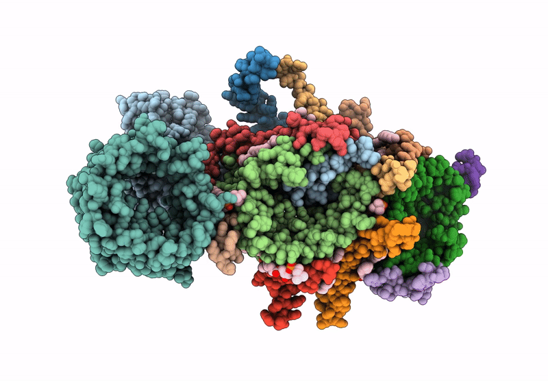 9EII image