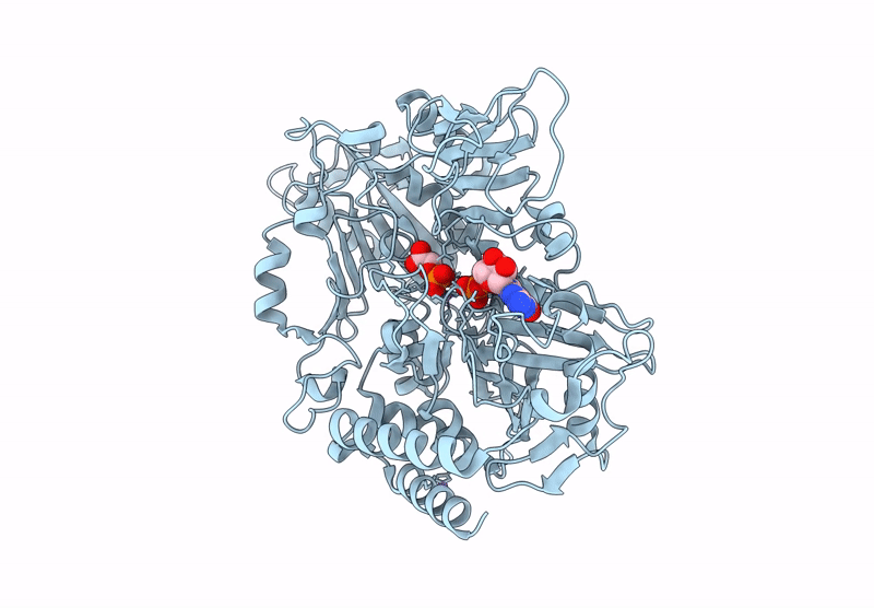9EIX image