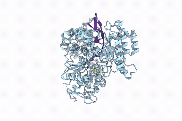 9EJB image