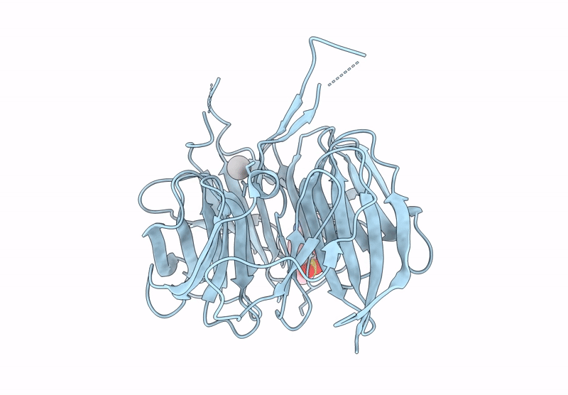 9EJP image