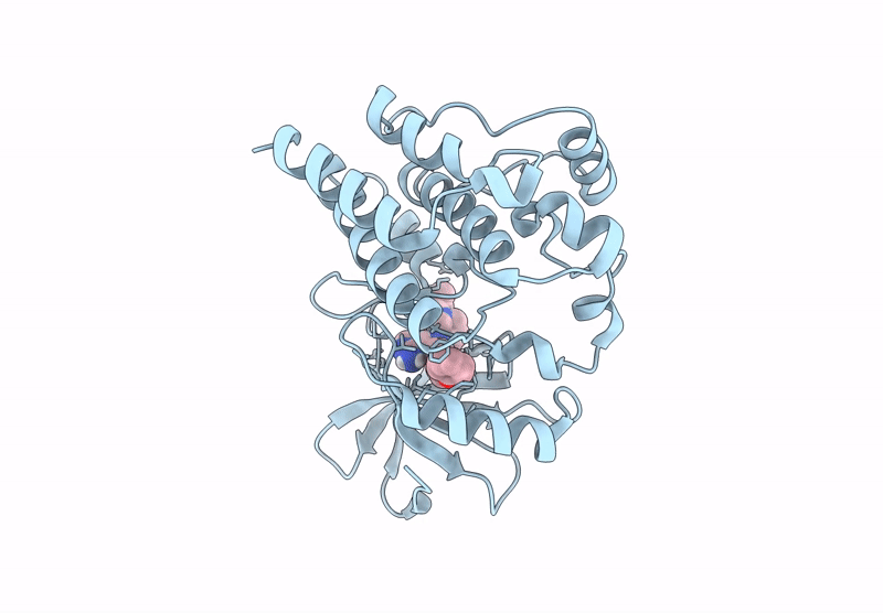 9EJX image