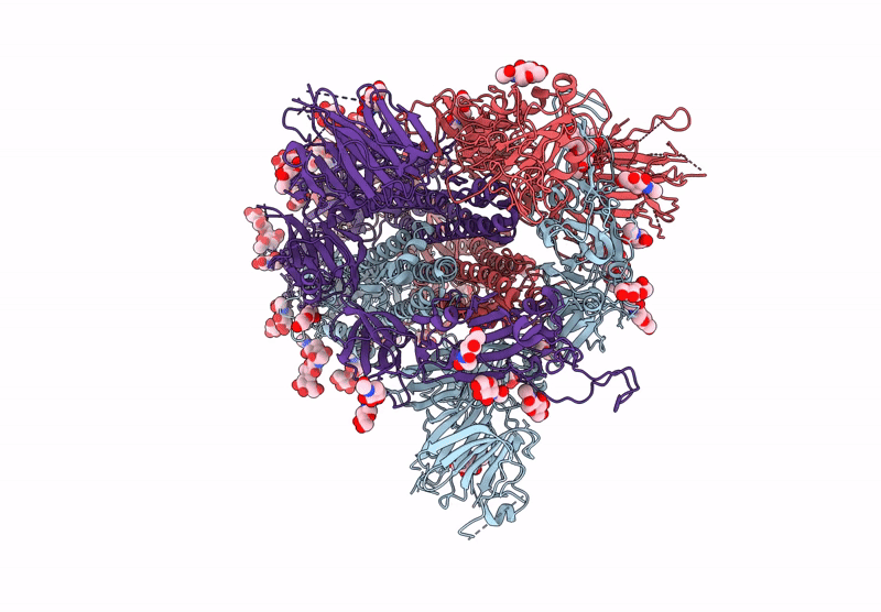 9ELH image